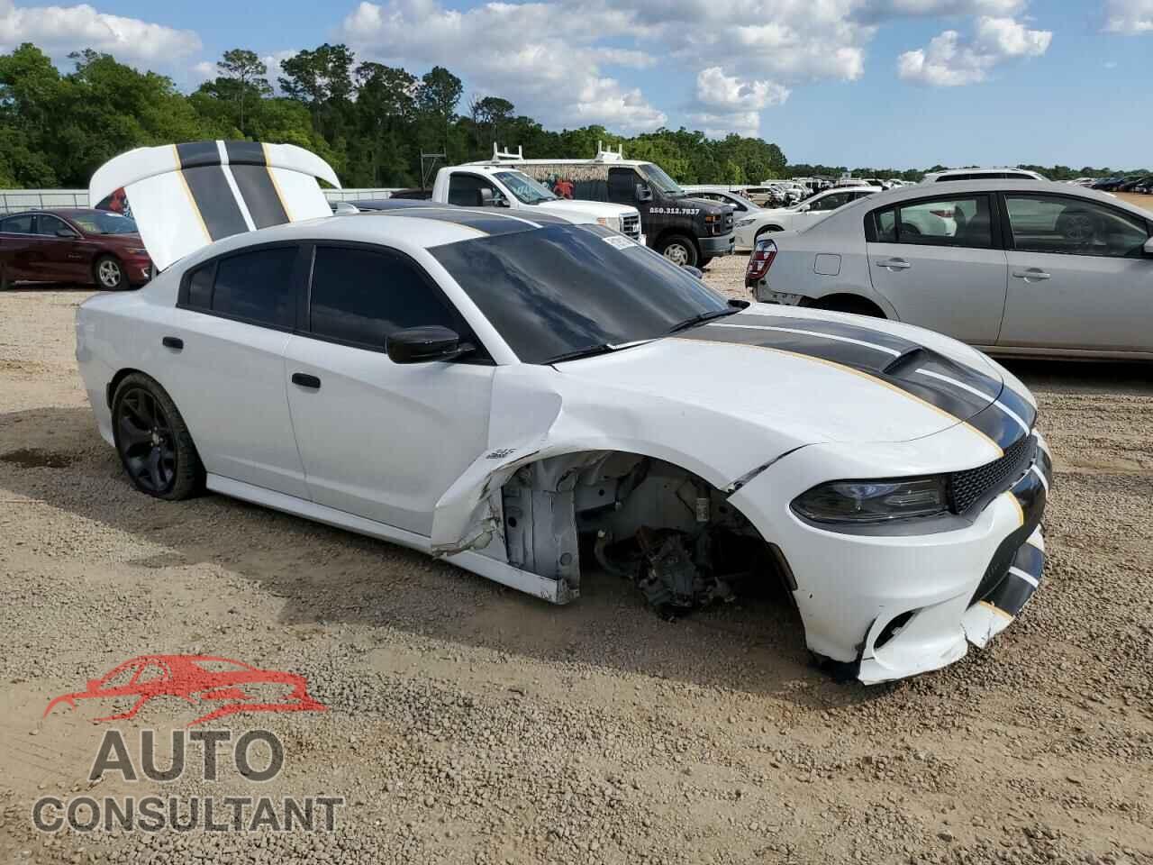 DODGE CHARGER 2019 - 2C3CDXCT9KH738415
