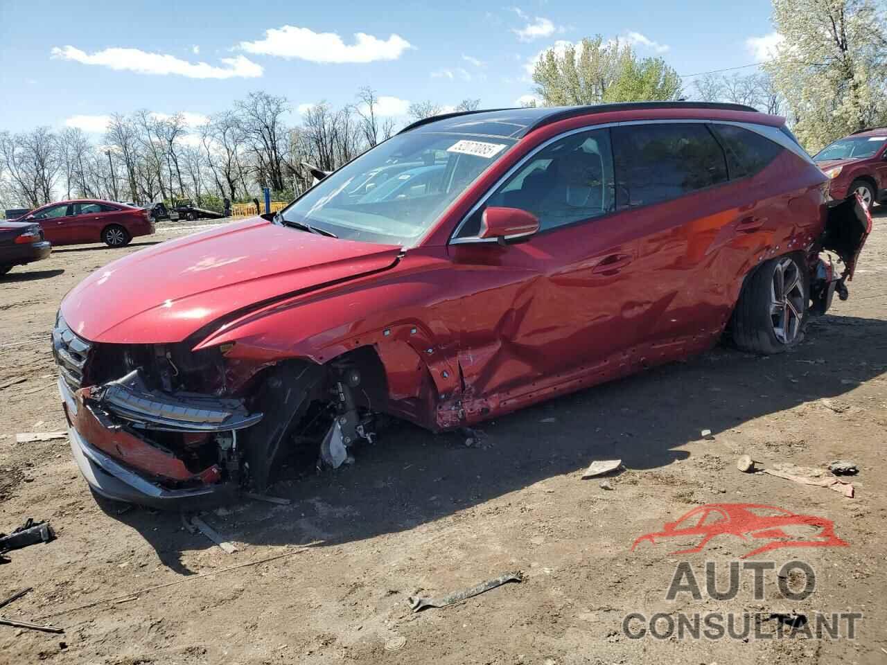 HYUNDAI TUCSON 2024 - 5NMJECDE3RH438361