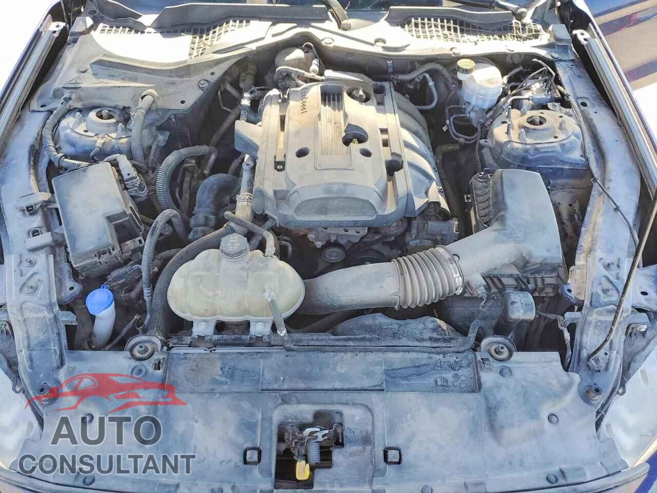 FORD MUSTANG 2020 - 1FA6P8TH0L5173097