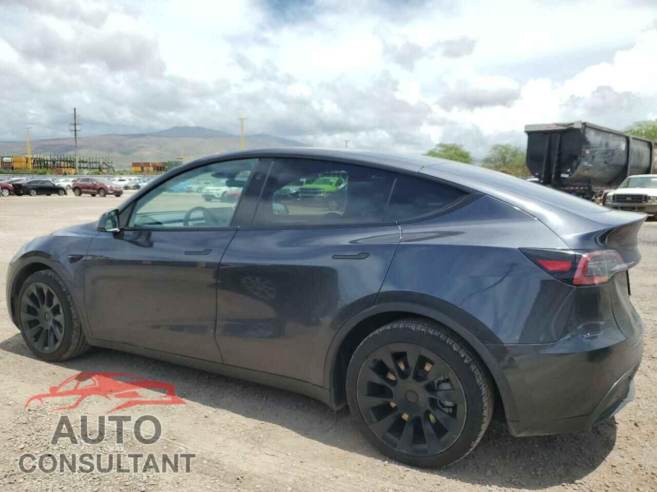 TESLA MODEL Y 2024 - 7SAYGAEE5RF088151