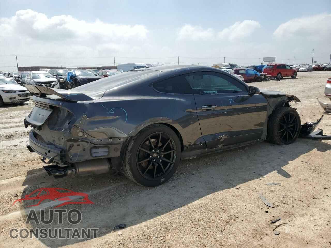 FORD MUSTANG 2019 - 1FA6P8CF1K5114766