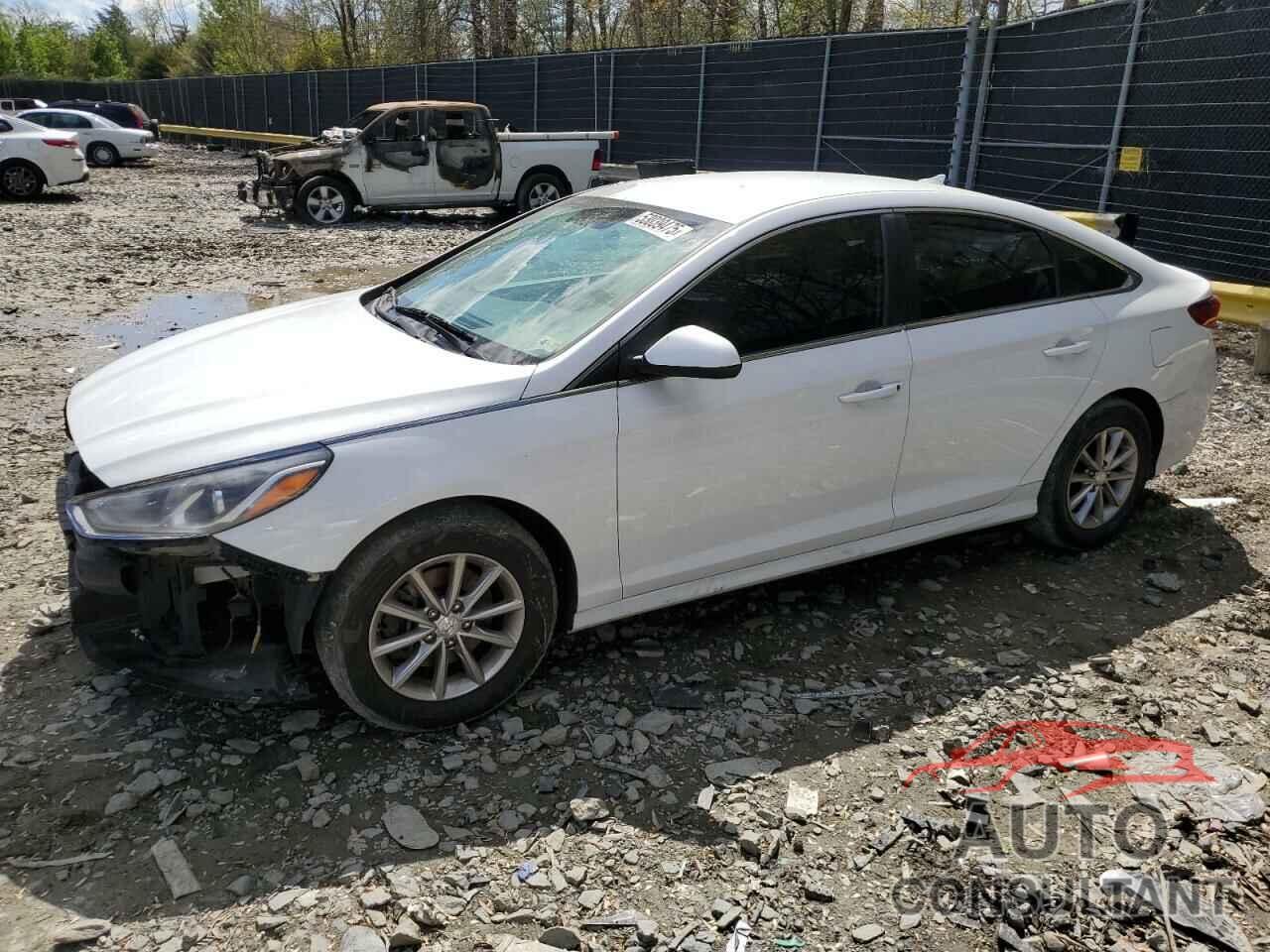 HYUNDAI SONATA 2019 - 5NPE24AF1KH789842