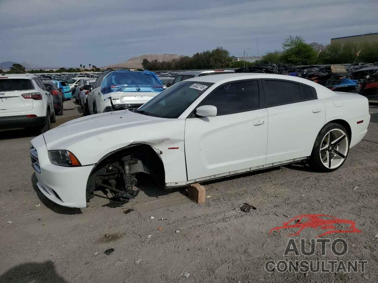 DODGE CHARGER 2013 - 2C3CDXCT1DH531844