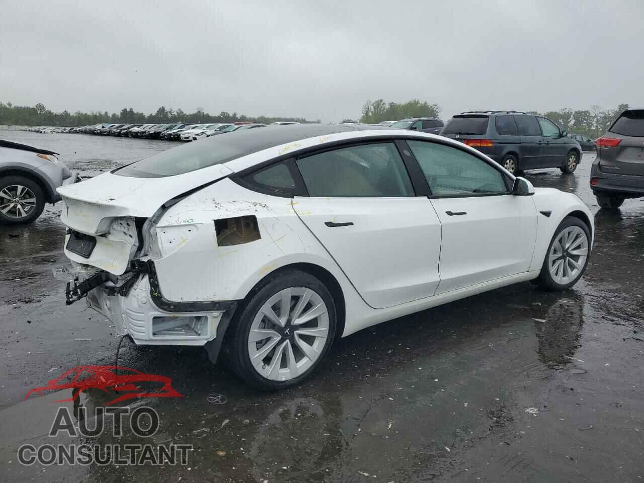 TESLA MODEL 3 2021 - 5YJ3E1EA5MF086337