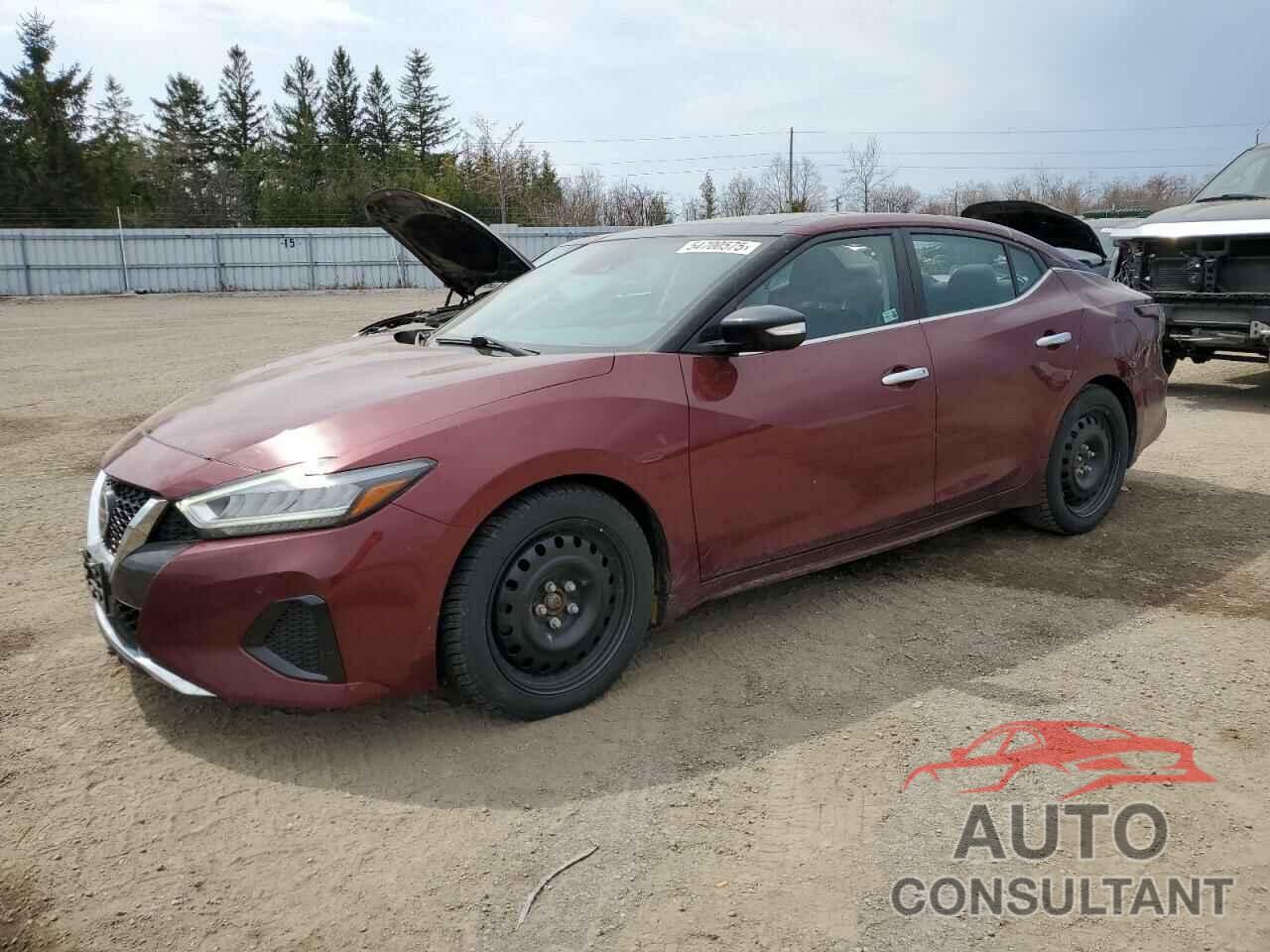 NISSAN MAXIMA 2021 - 1N4AA6DV8MC512593
