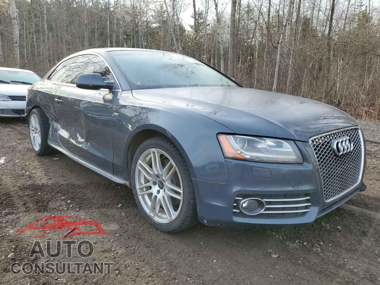 AUDI A5 2010 - WAUSFBFR9AA028266