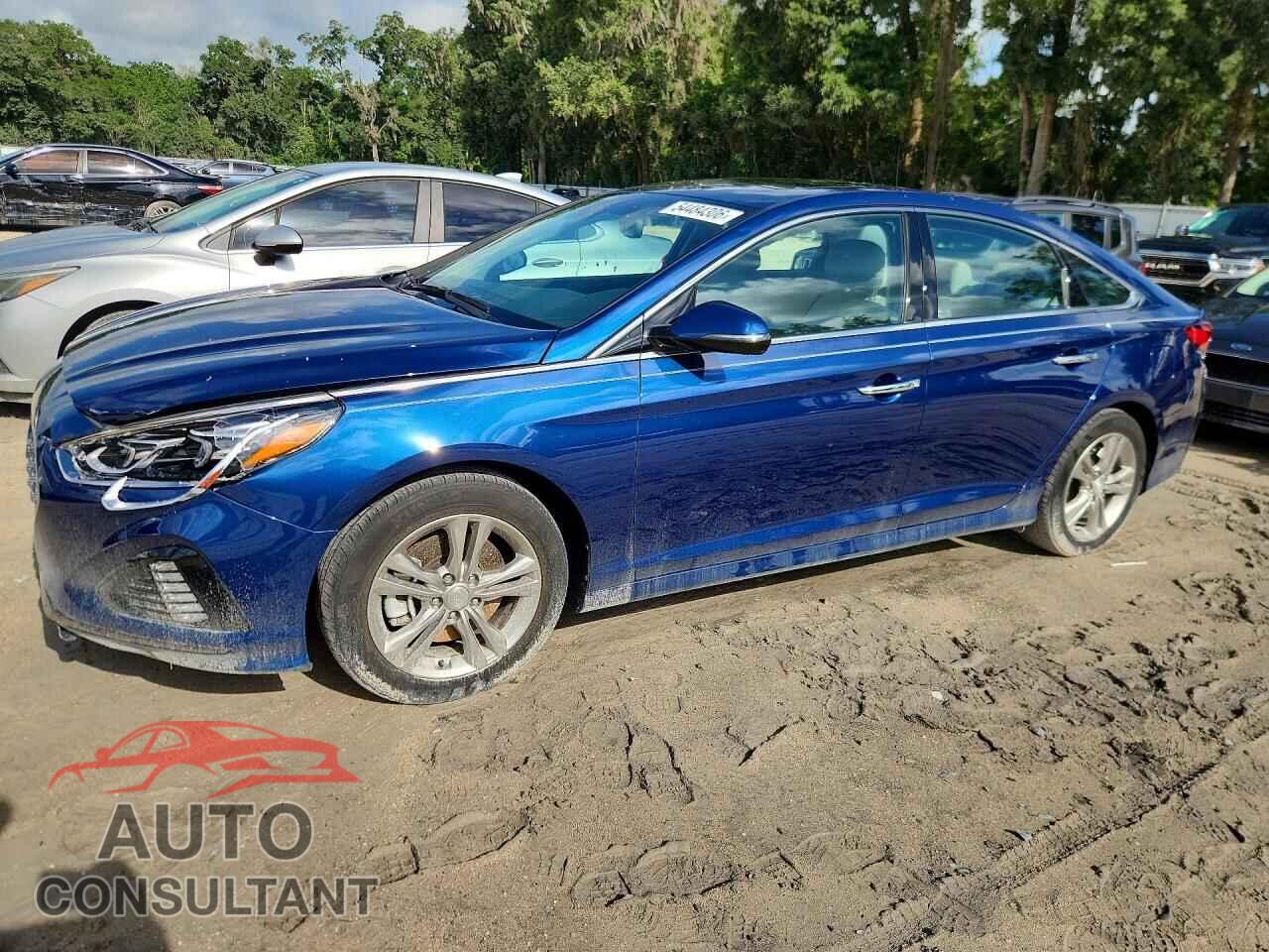 HYUNDAI SONATA 2019 - 5NPE34AF0KH814341