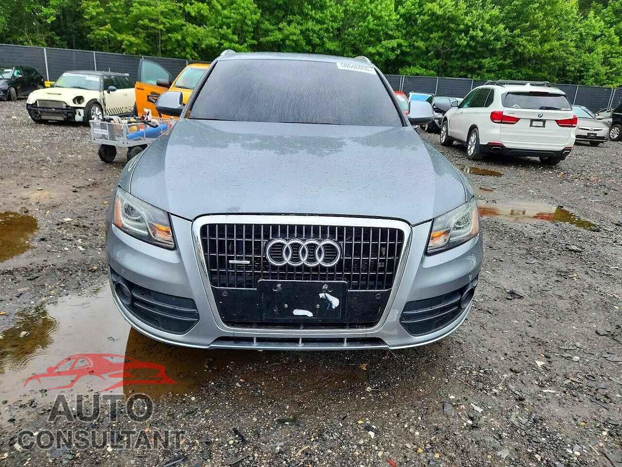 AUDI Q5 2010 - WA1LKAFPXAA023826