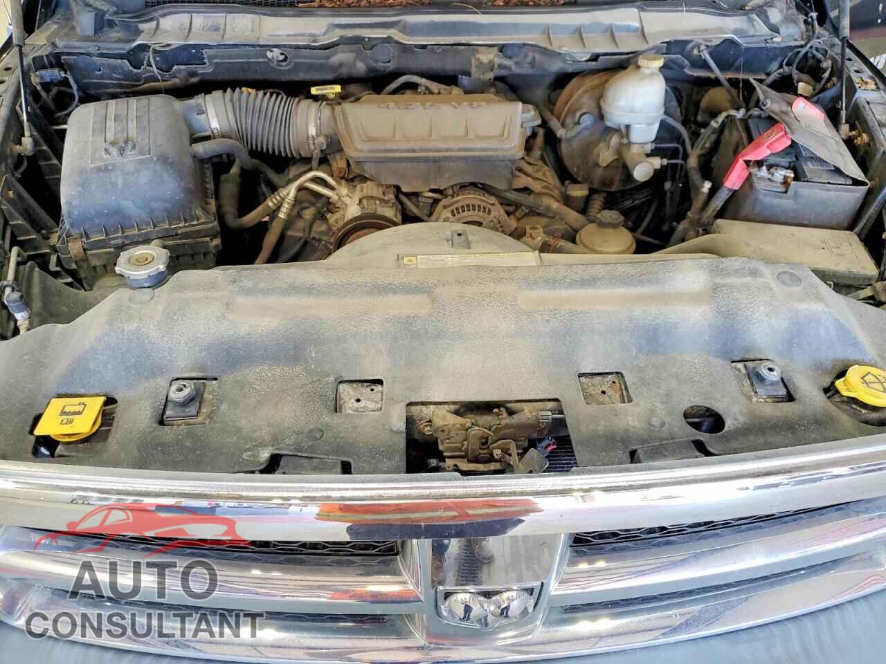 DODGE RAM 1500 2010 - 1D7RV1CP8AS177799