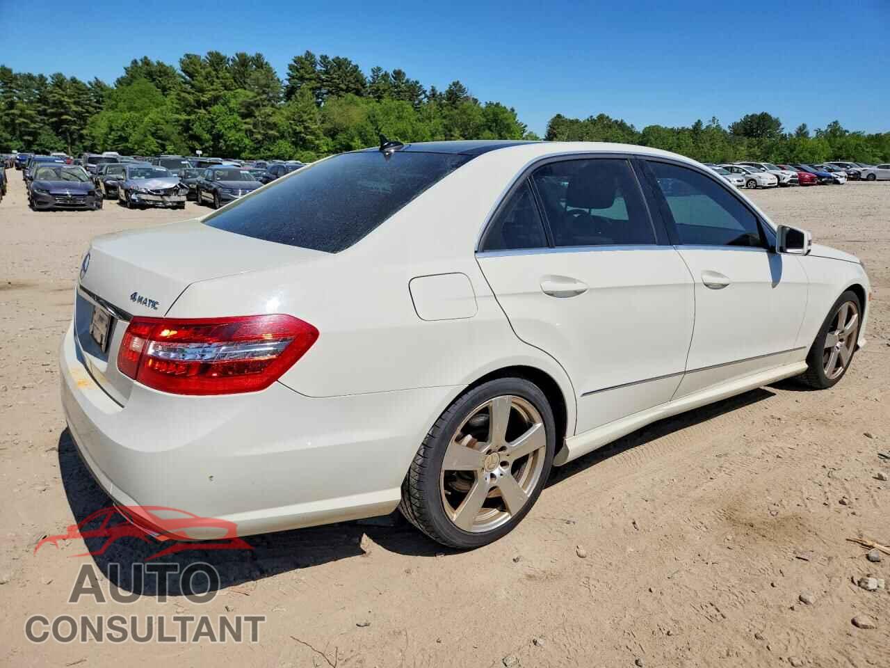MERCEDES-BENZ E-CLASS 2010 - WDDHF8HB3AA251568