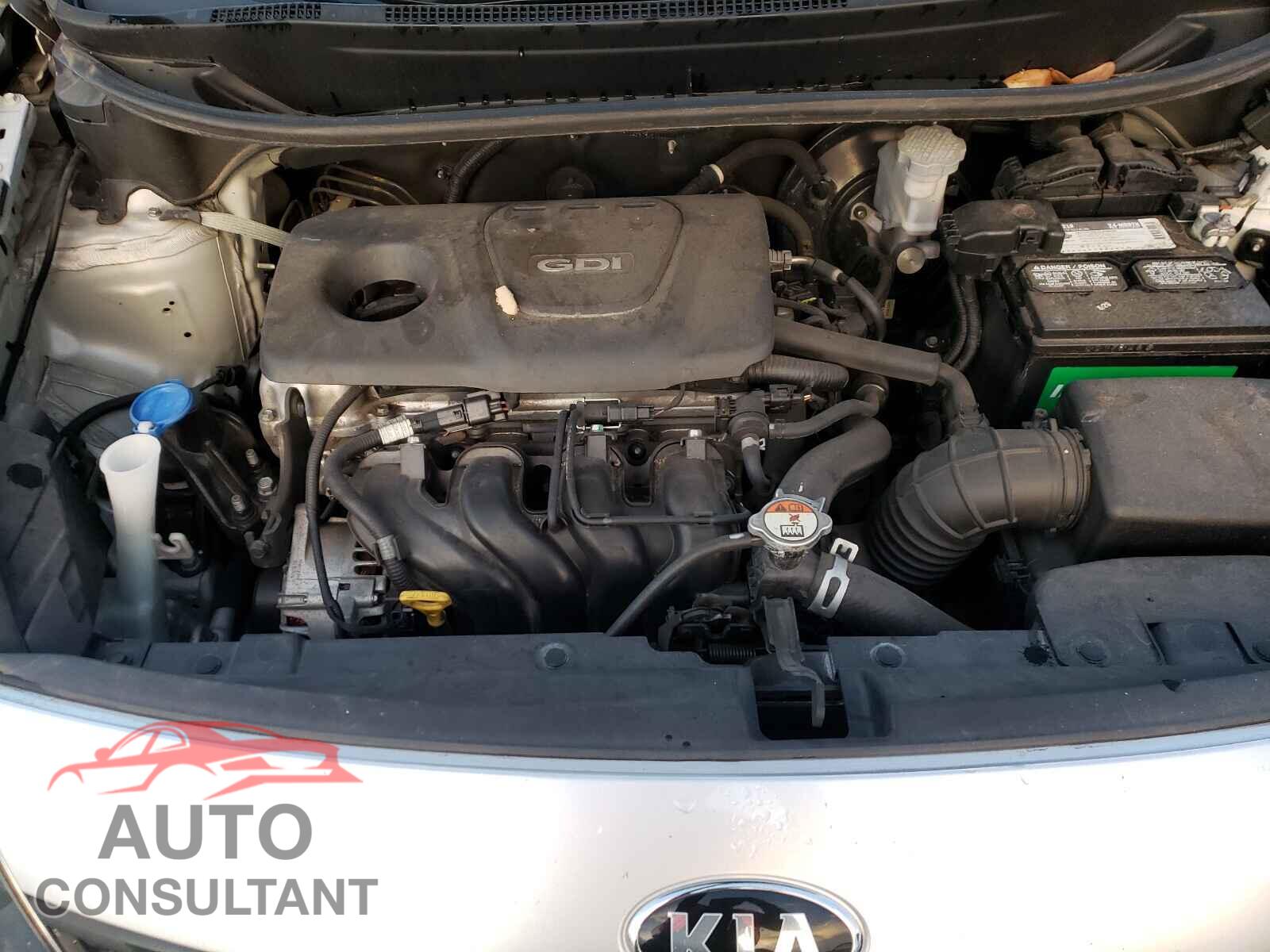 KIA RIO 2017 - KNADM4A31H6037635