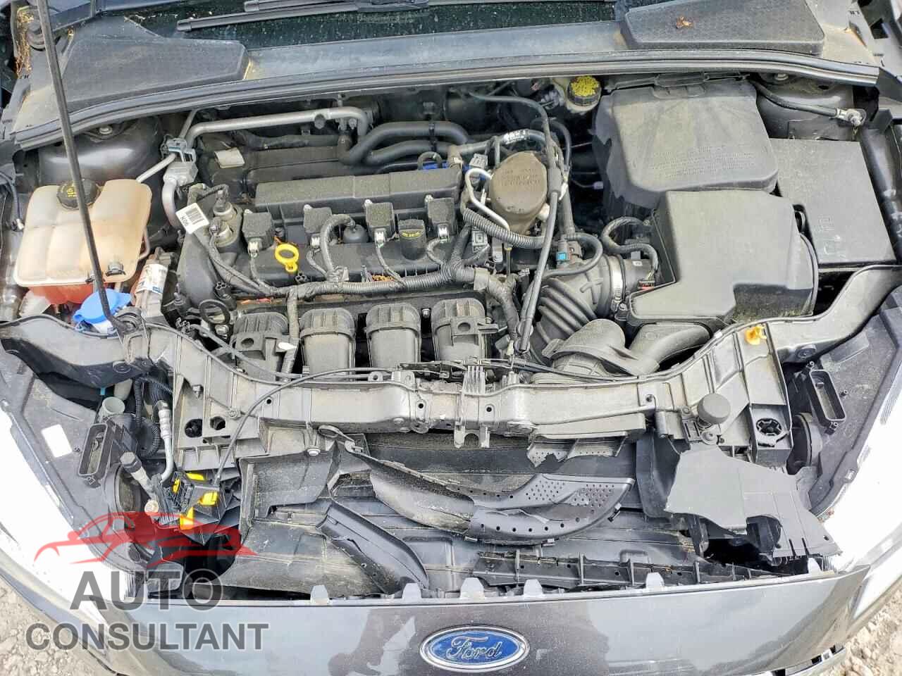FORD FOCUS 2016 - 1FADP3E21GL219671