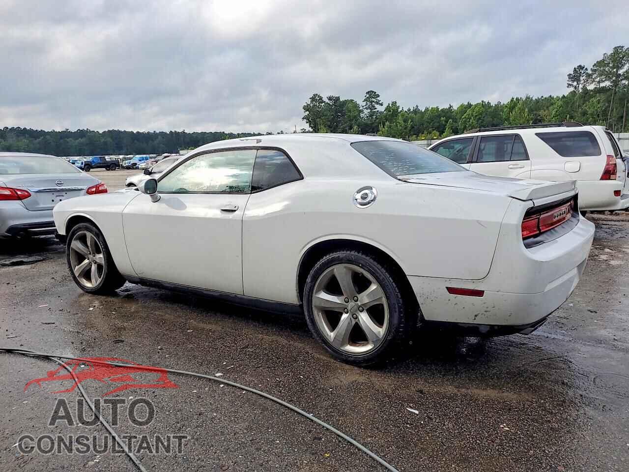 DODGE CHALLENGER 2012 - 2C3CDYBT5CH125362