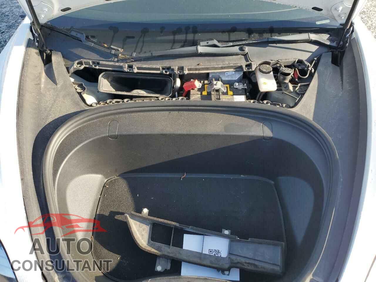 TESLA MODEL 3 2019 - 5YJ3E1EA6KF299780