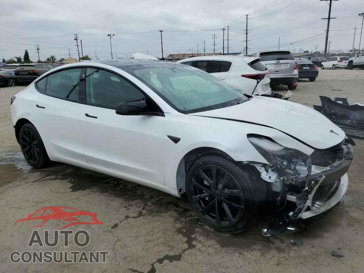 TESLA MODEL 3 2021 - 5YJ3E1EA1MF929921