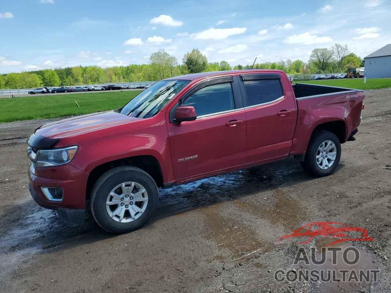 CHEVROLET COLORADO 2019 - 1GCGTCEN9K1316389