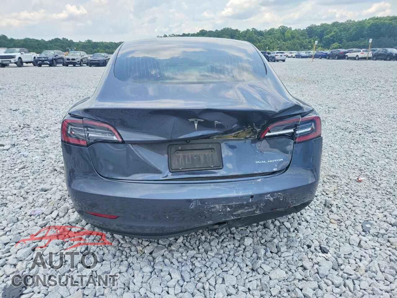 TESLA MODEL 3 2019 - 5YJ3E1EB9KF520779