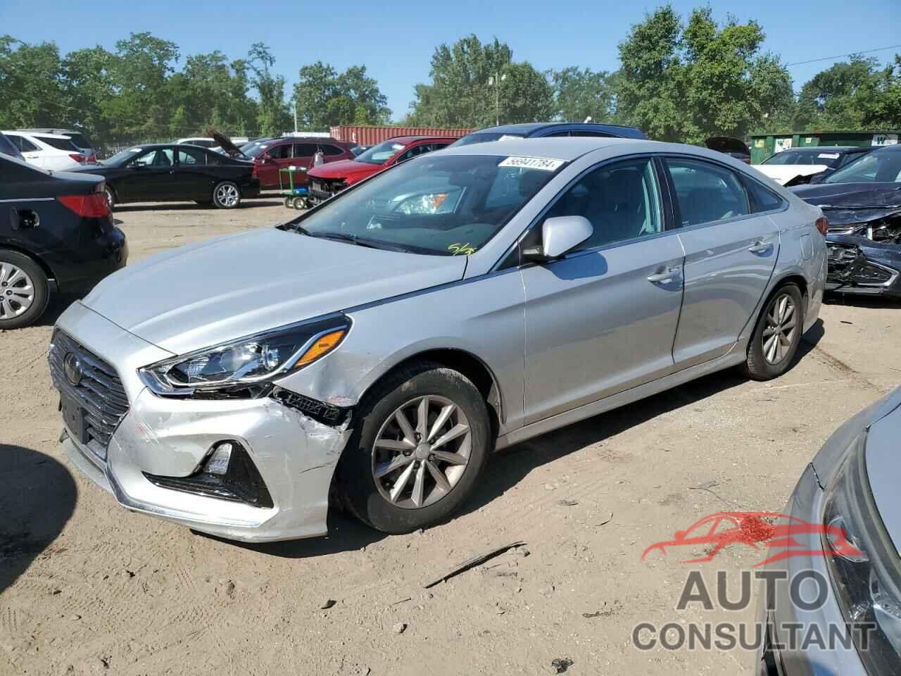 HYUNDAI SONATA 2019 - 5NPE24AF8KH755588