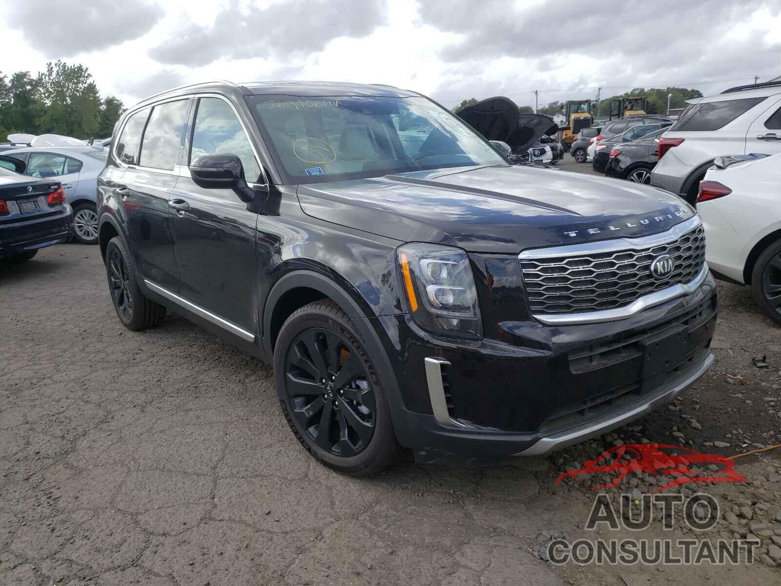 KIA TELLURIDE 2021 - 5XYP3DHC6MG116573