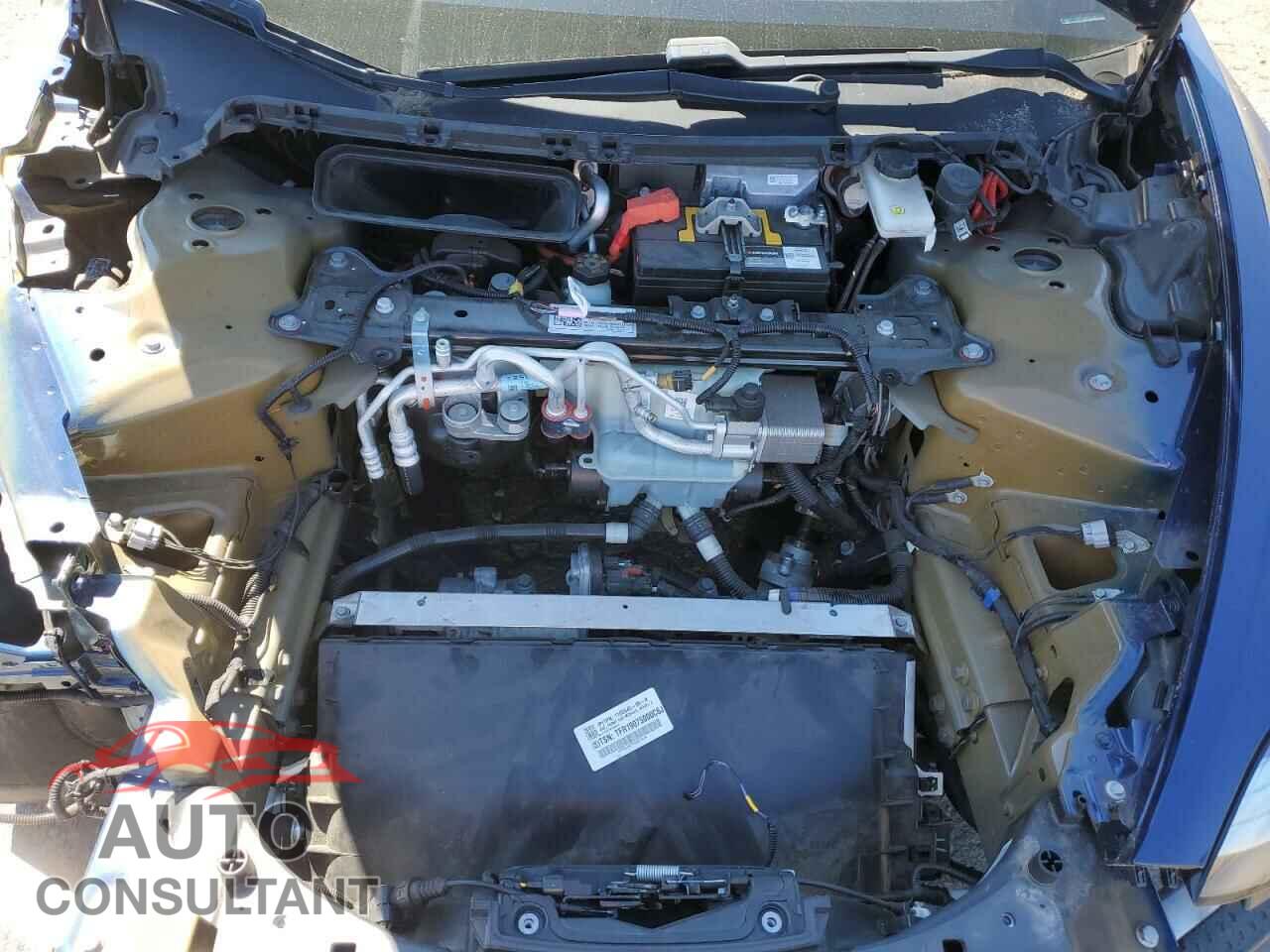 TESLA MODEL 3 2019 - 5YJ3E1EA4KF301185