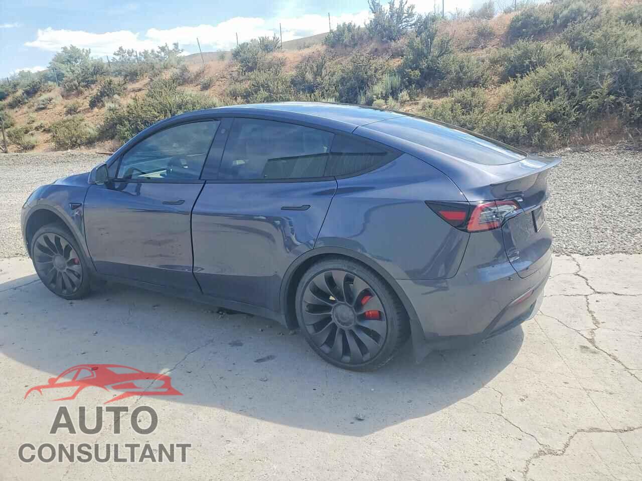 TESLA MODEL Y 2023 - 7SAYGDEF9PF711908
