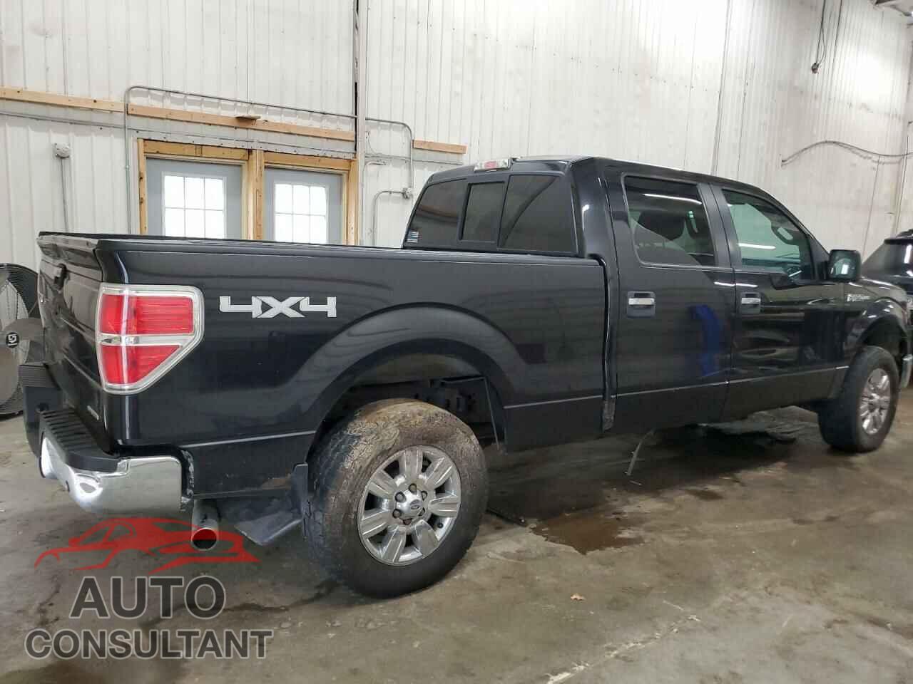 FORD F-150 2011 - 1FTFW1EF1BFA74698