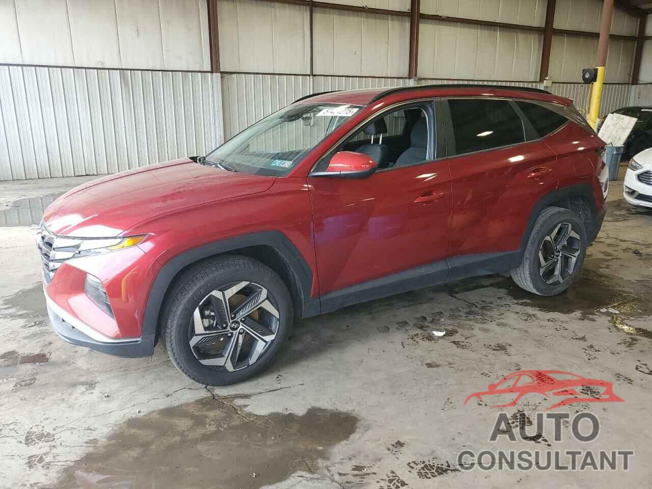 HYUNDAI TUCSON 2024 - 5NMJBCDE6RH427816