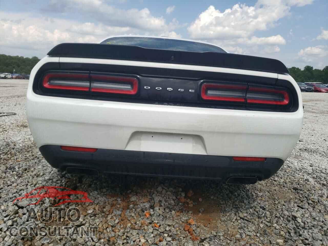 DODGE CHALLENGER 2019 - 2C3CDZBTXKH652446