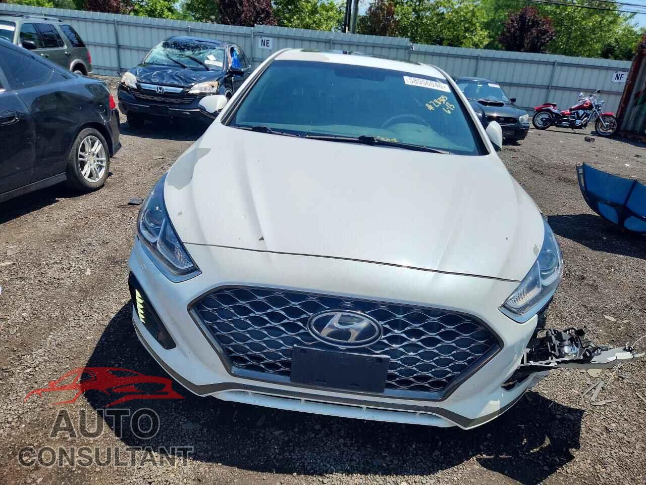 HYUNDAI SONATA 2019 - 5NPE34AF0KH790932