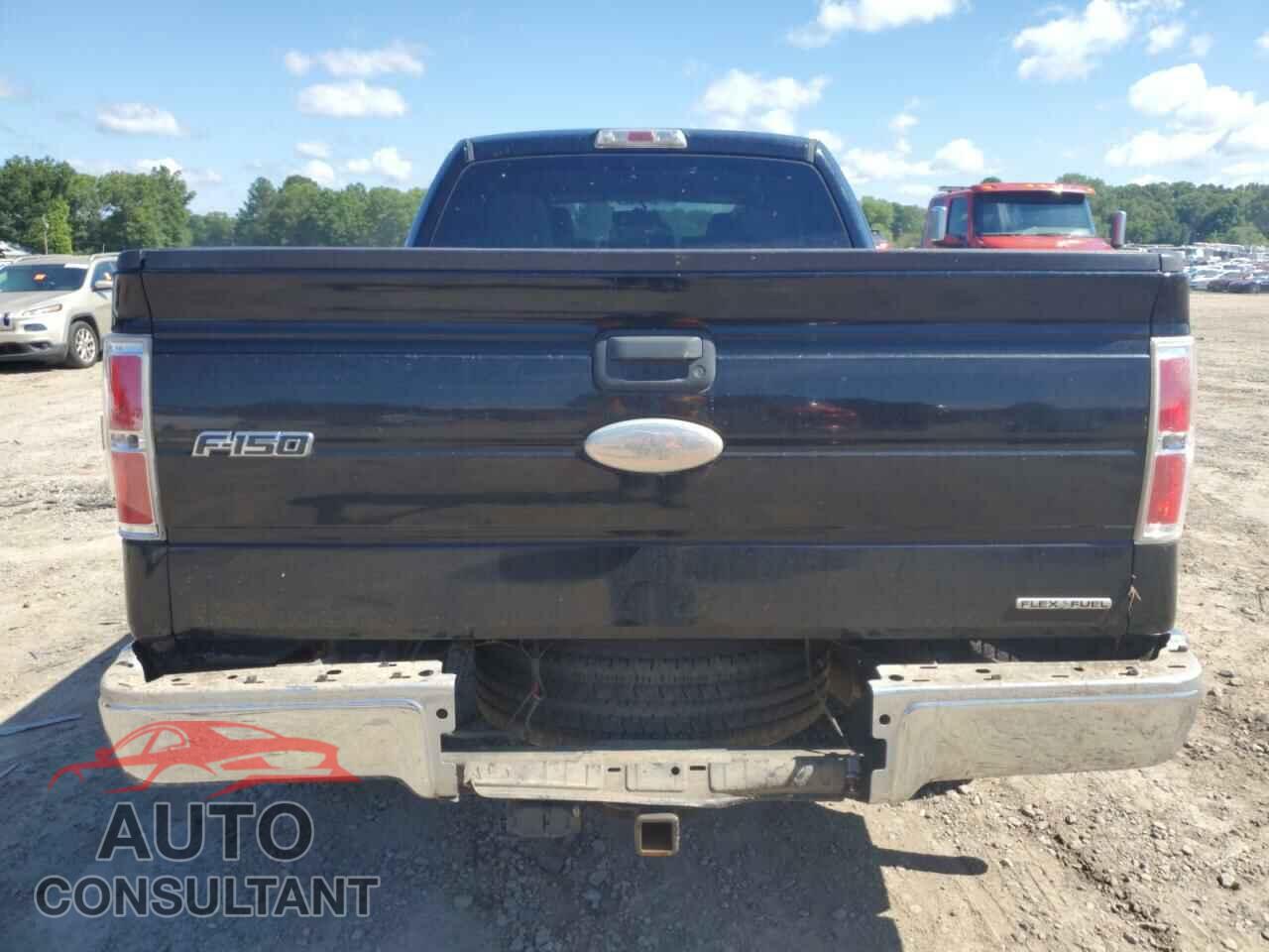 FORD F-150 2011 - 1FTFX1CF2BFC30991