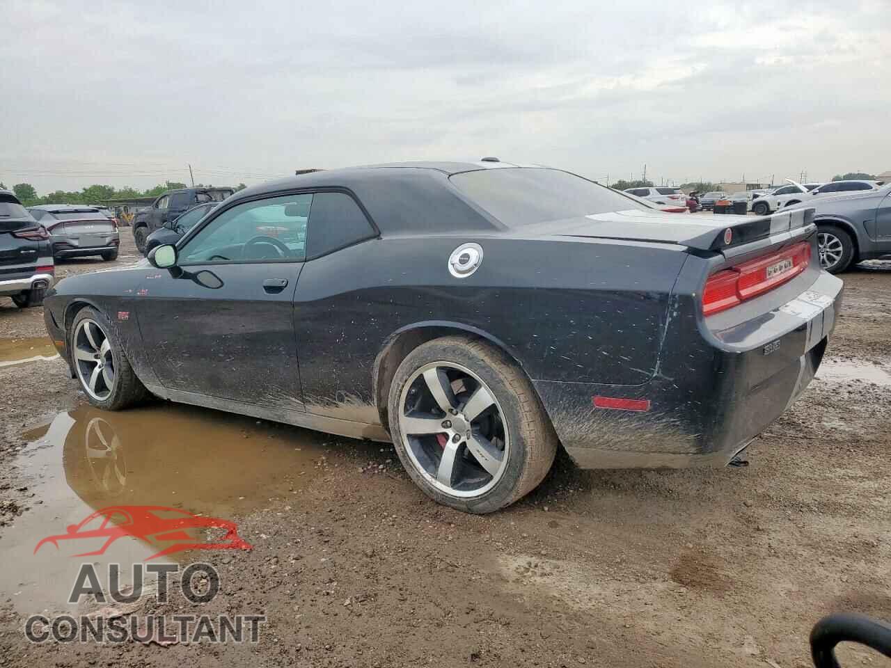 DODGE CHALLENGER 2012 - 2C3CDYCJ9CH227972