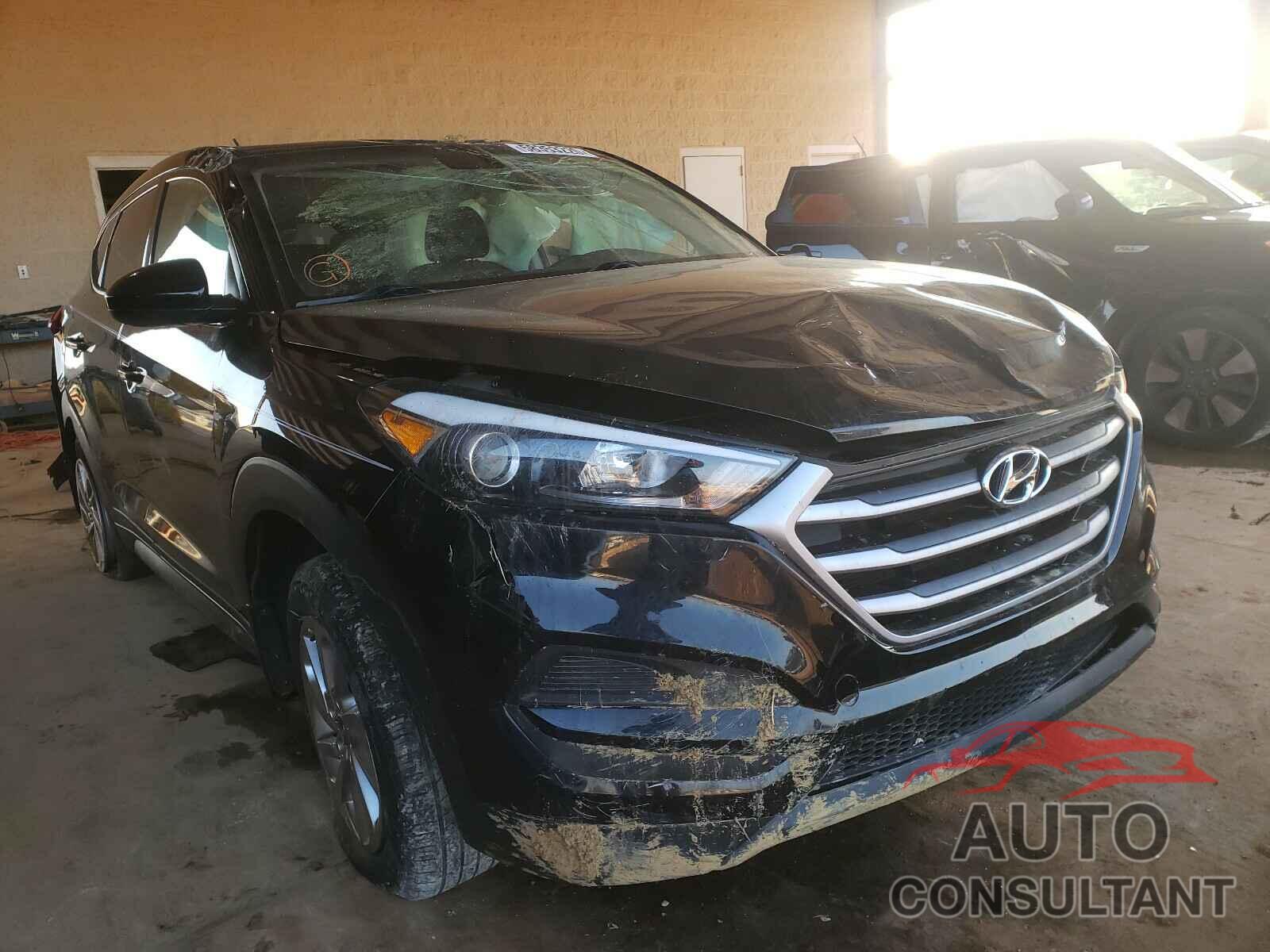 HYUNDAI TUCSON 2017 - KM8J23A41HU369659