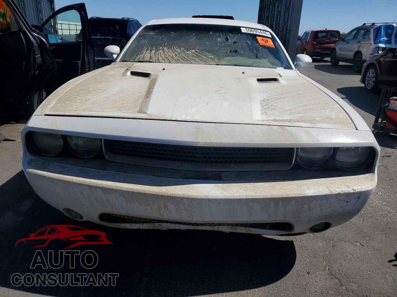 DODGE CHALLENGER 2013 - 2C3CDYBT0DH609084