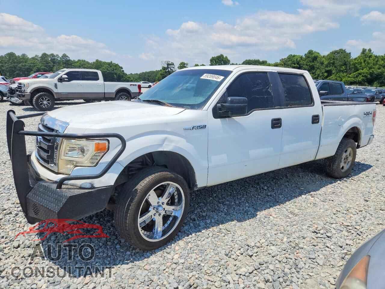 FORD F150 2011 - 1FTFW1EF8BFB28806