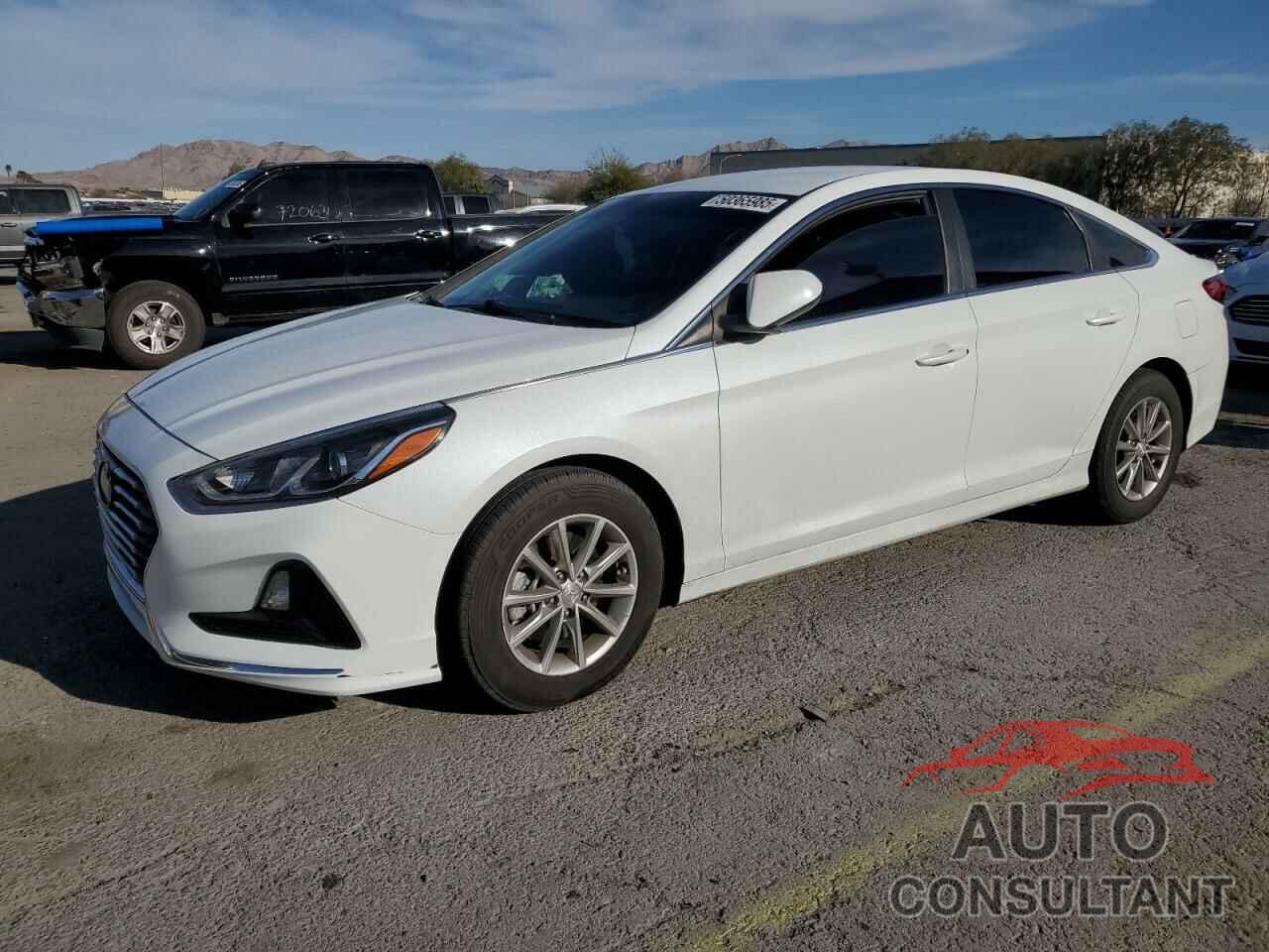 HYUNDAI SONATA 2019 - 5NPE24AF9KH795288
