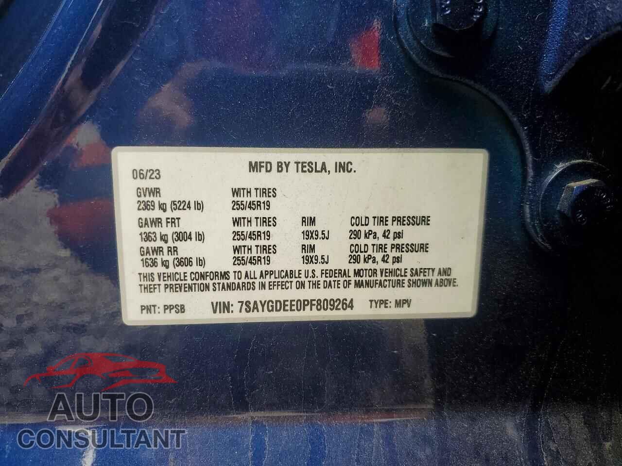 TESLA MODEL Y 2023 - 7SAYGDEE0PF809264
