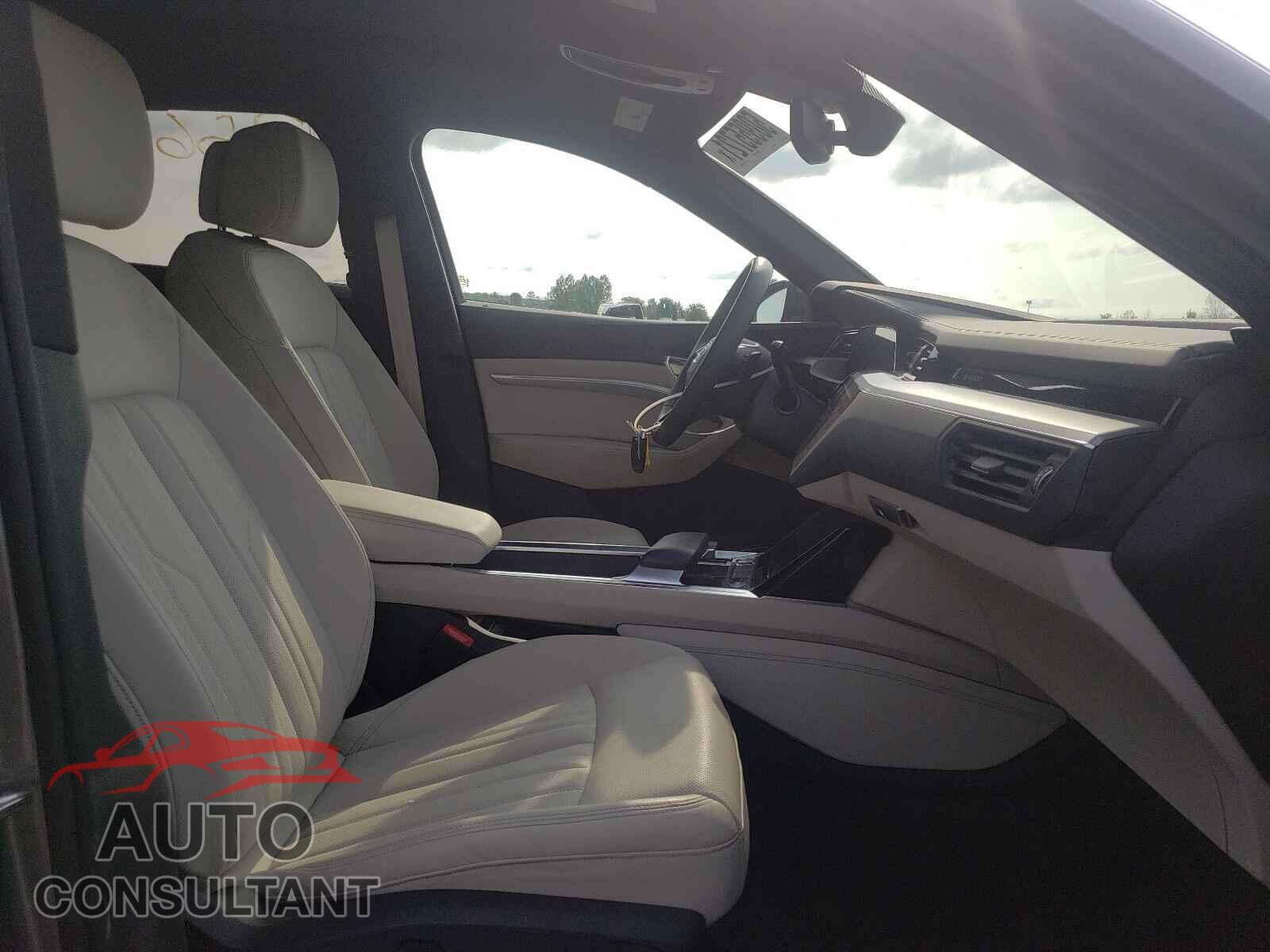 AUDI E-TRON 2019 - WA1VAAGE8KB014594