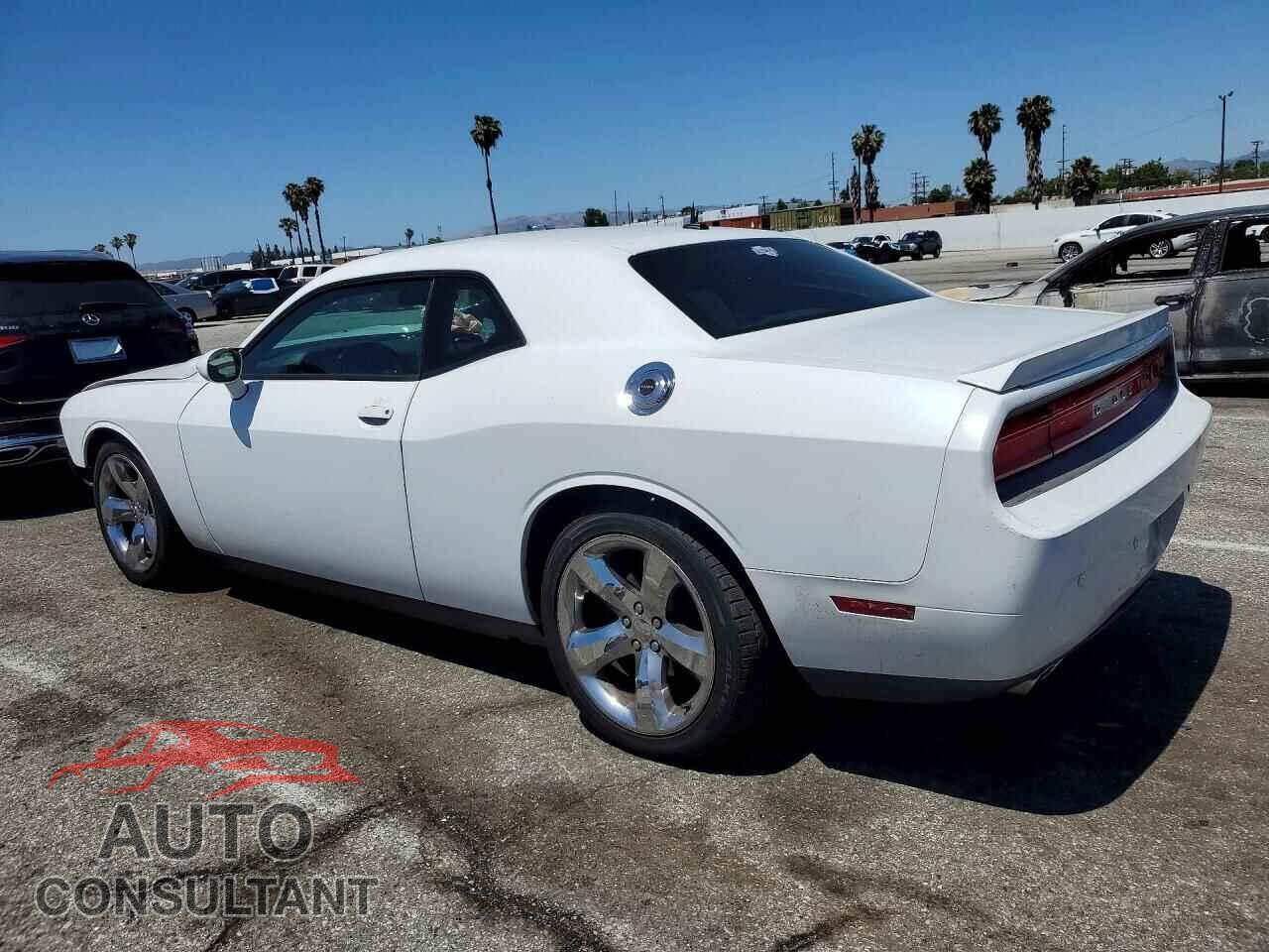 DODGE CHALLENGER 2013 - 2C3CDYBT7DH579226