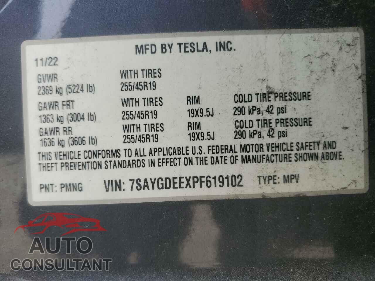 TESLA MODEL Y 2023 - 7SAYGDEEXPF619102