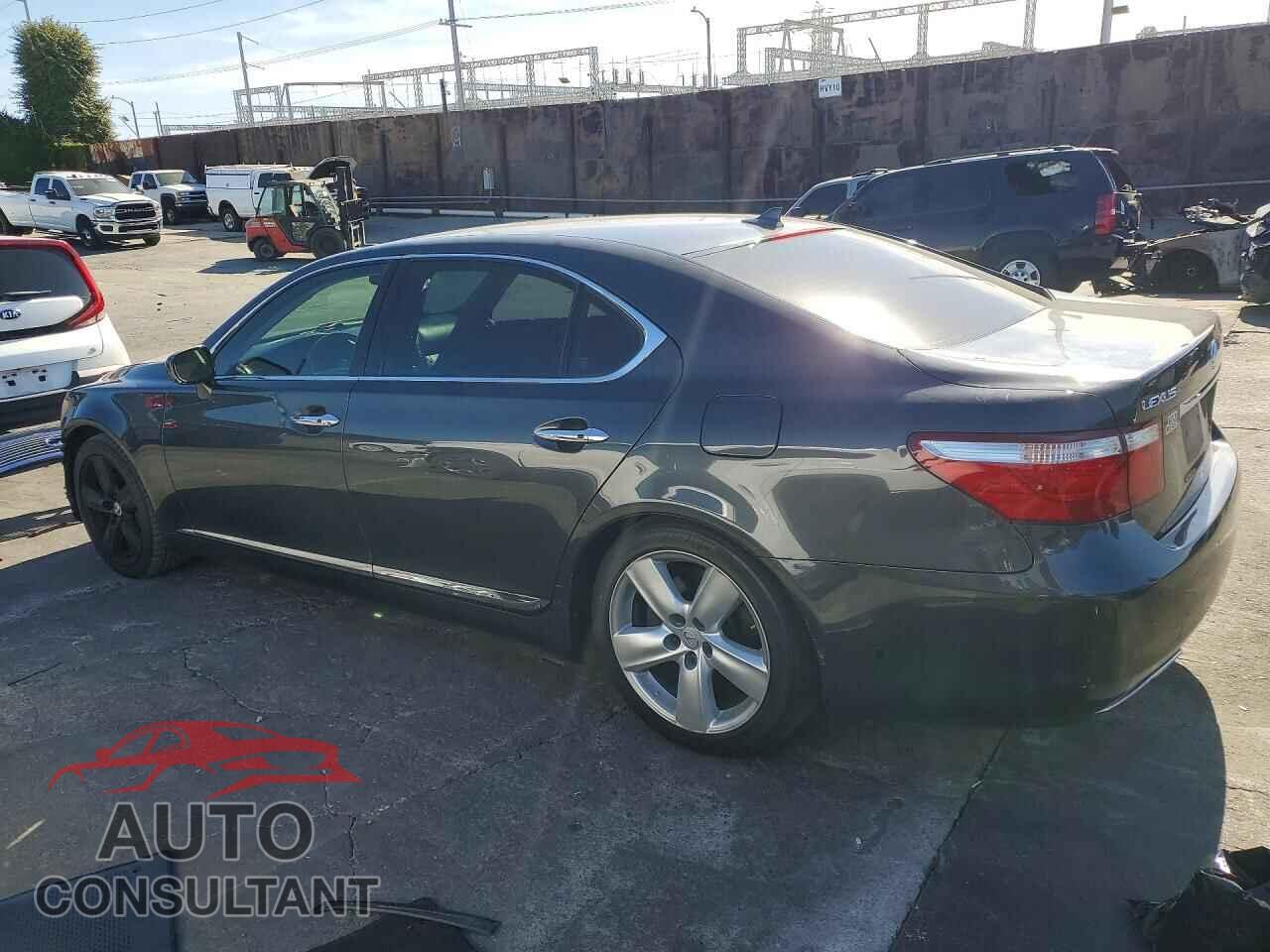 LEXUS LS460 2009 - JTHGL46FX95035880