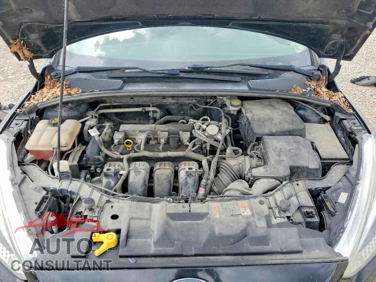 FORD FOCUS 2016 - 1FADP3F2XGL359555