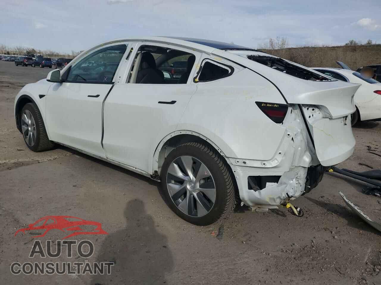 TESLA MODEL Y 2021 - 5YJYGDEEXMF299515