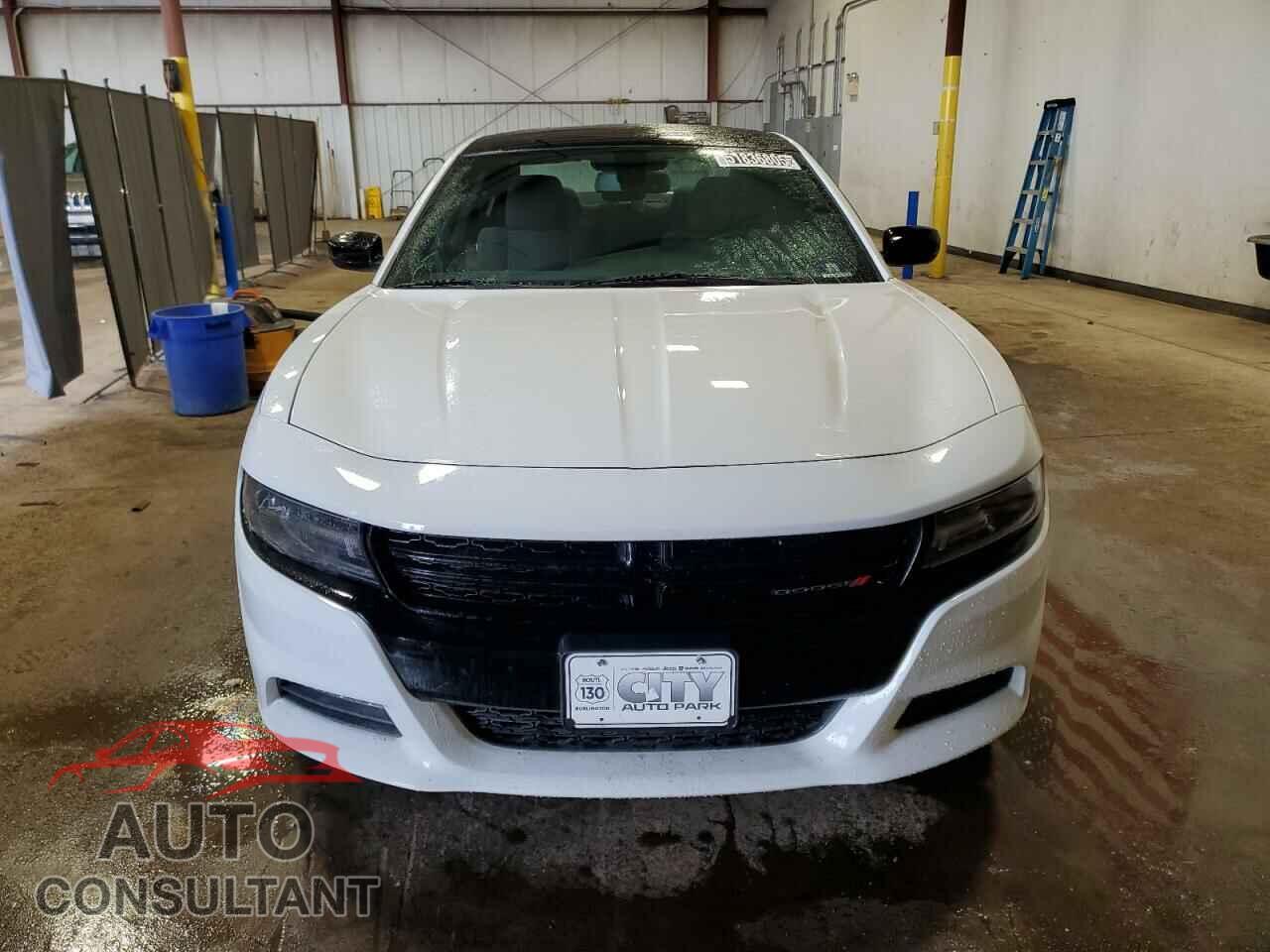 DODGE CHARGER 2019 - 2C3CDXJG6KH550442