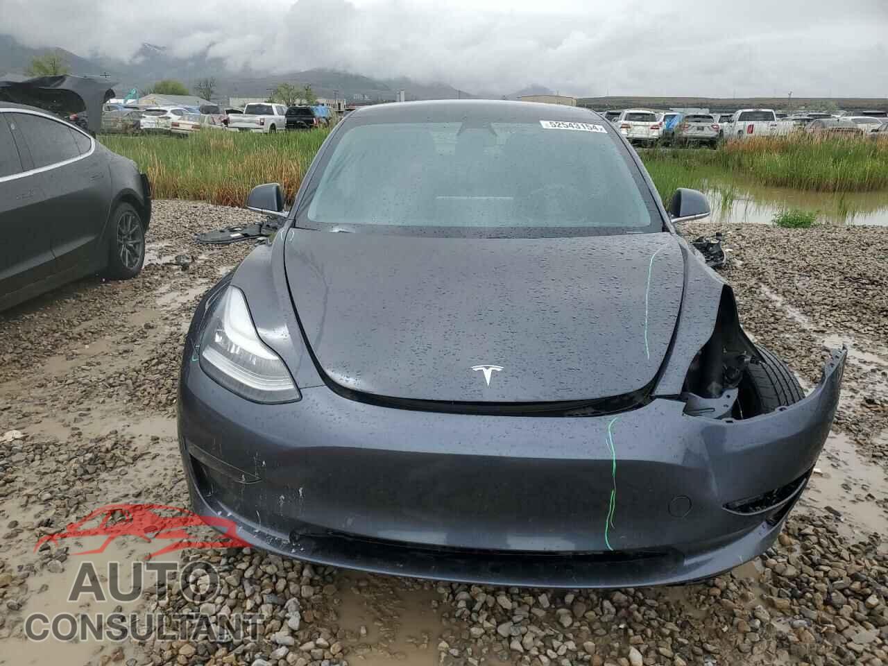 TESLA MODEL 3 2019 - 5YJ3E1EB5KF386790