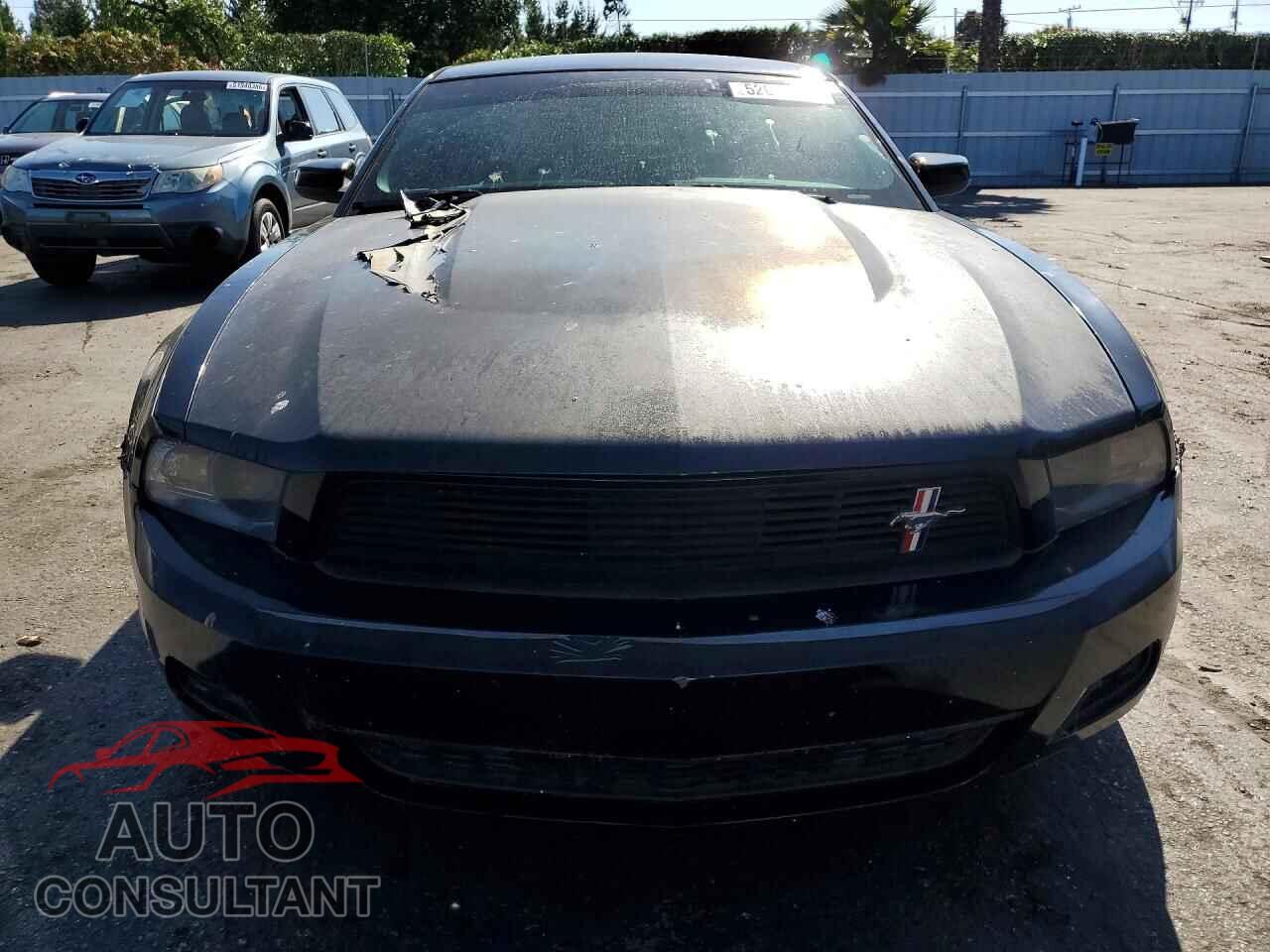FORD MUSTANG 2011 - 1ZVBP8AM8B5154902