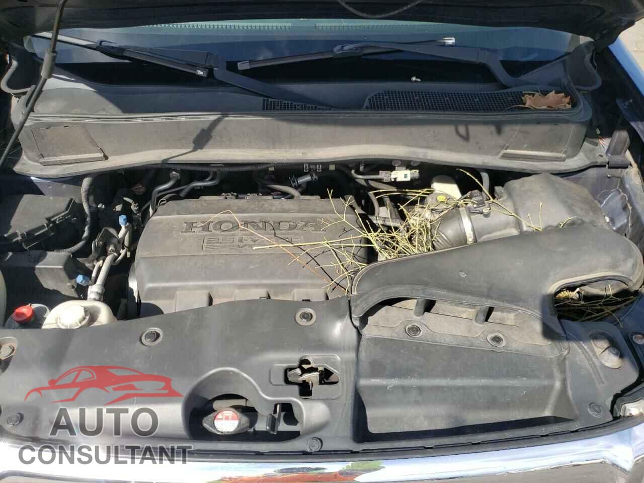 HONDA PILOT 2011 - 5FNYF4H74BB099291