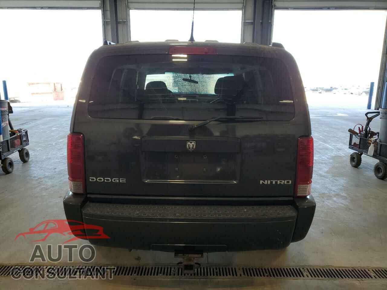 DODGE NITRO 2010 - 1D4PU2GK9AW141981