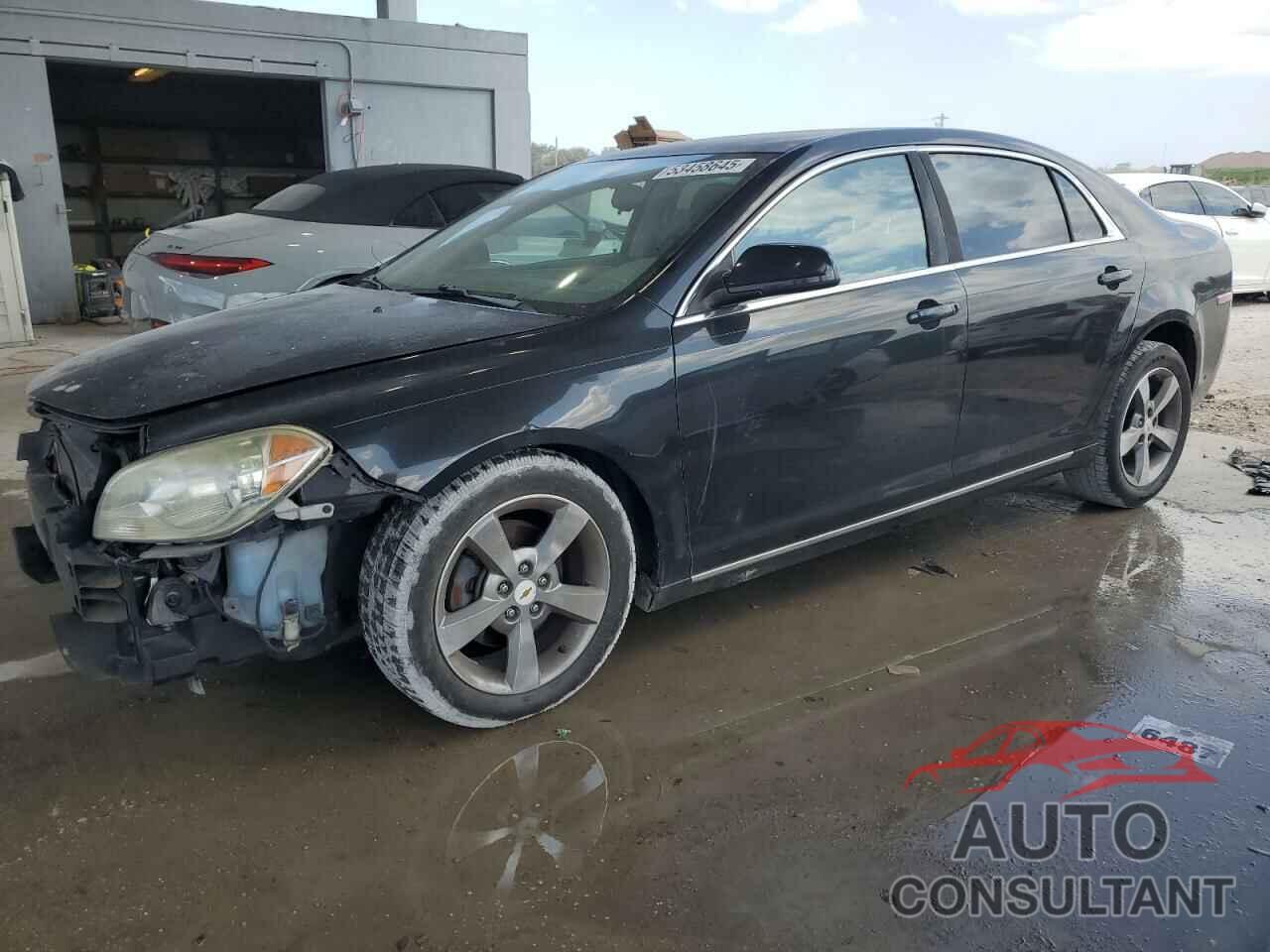 CHEVROLET MALIBU 2011 - 1G1ZC5E10BF202309