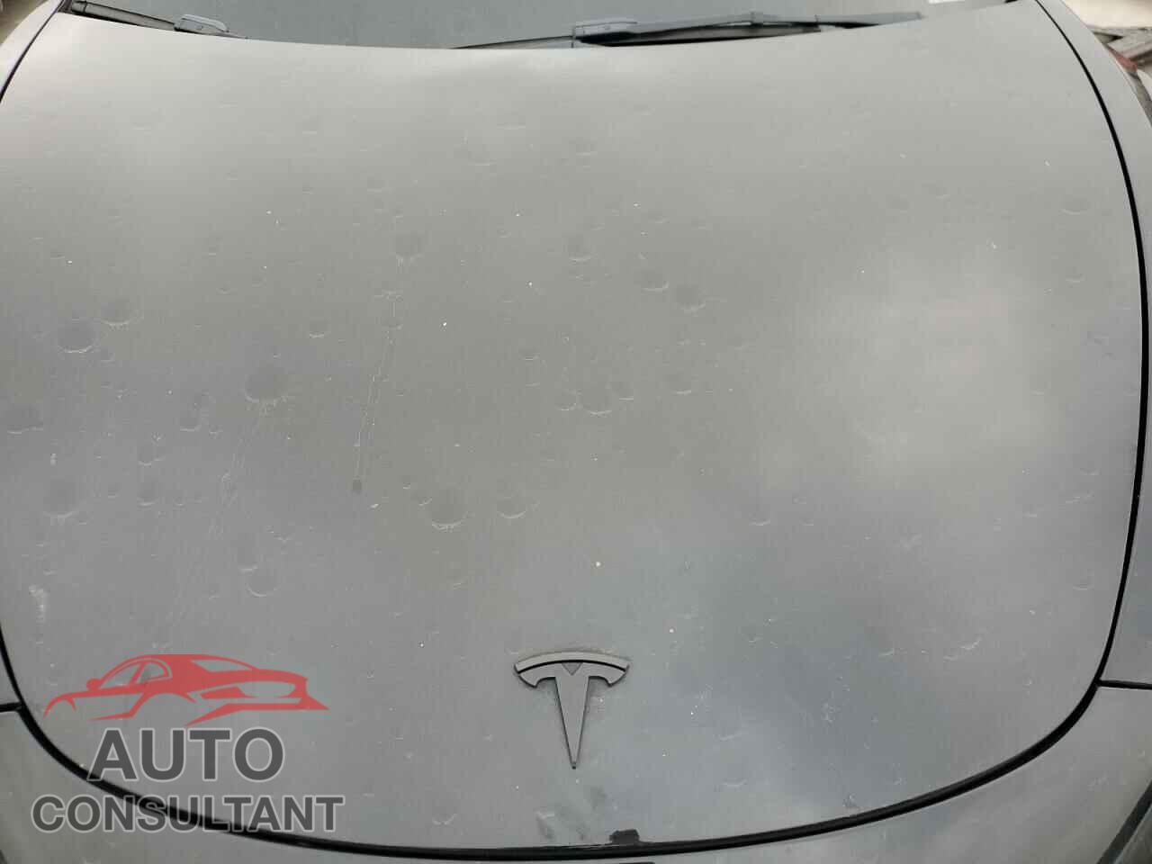 TESLA MODEL 3 2022 - 5YJ3E1EA3NF339012