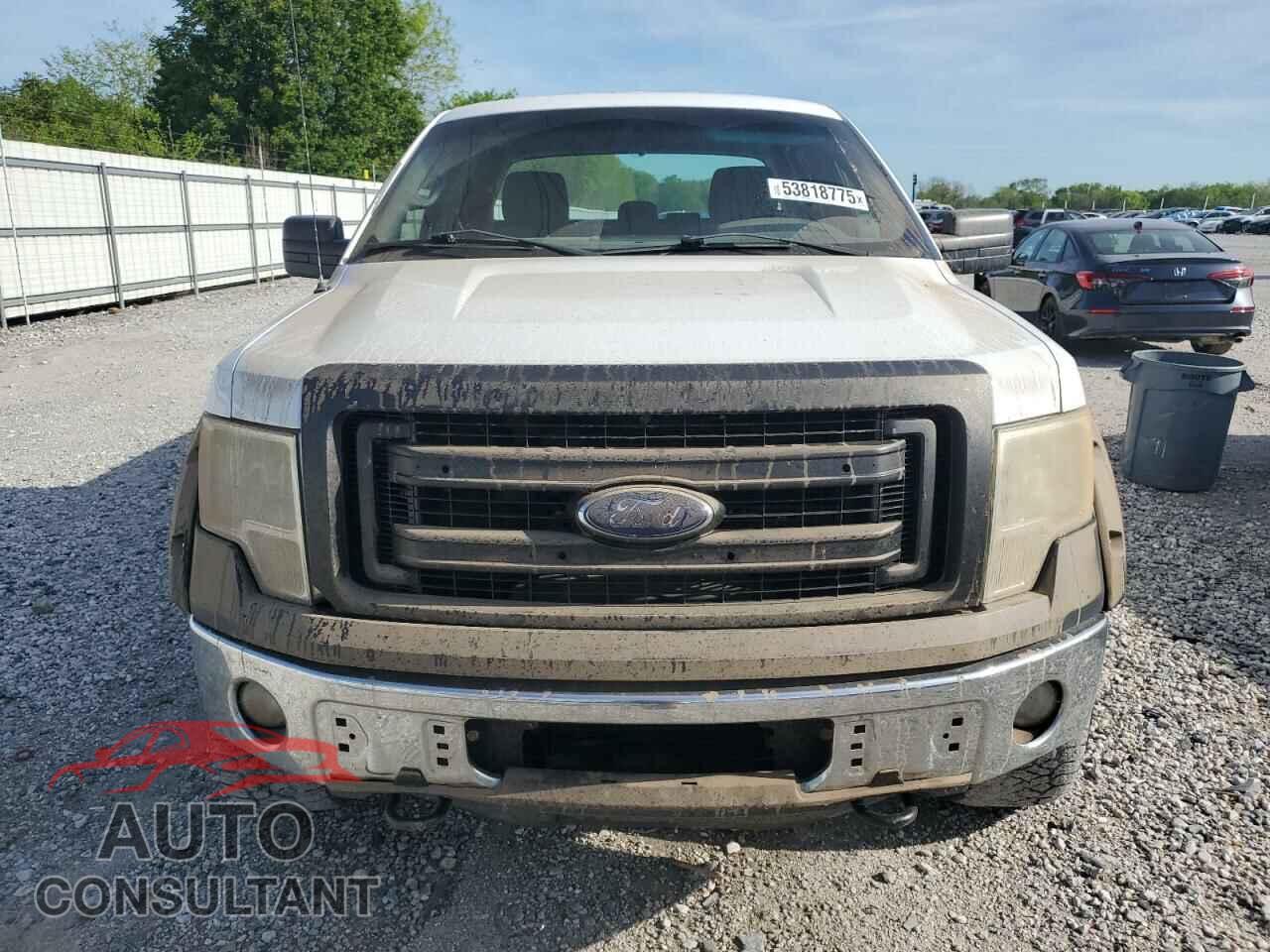 FORD F-150 2013 - 1FTFX1ET8DFC06359